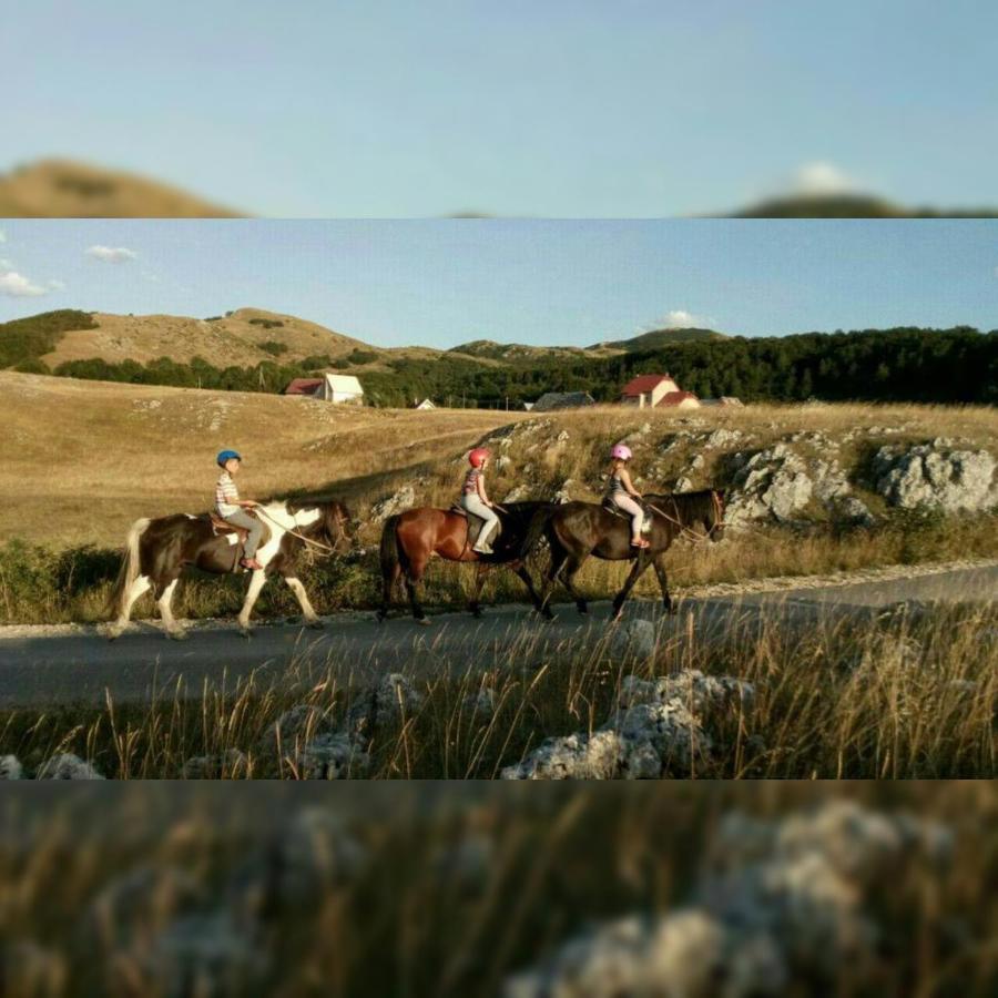 Rural Resort Tron ปลูชิเน ภายนอก รูปภาพ
